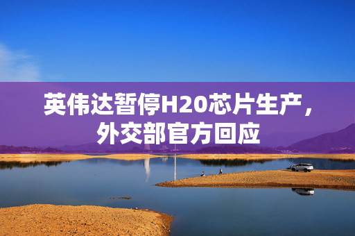 英伟达暂停H20芯片生产，外交部官方回应