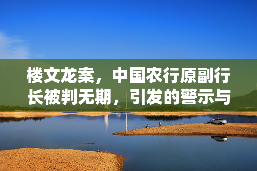 楼文龙案，中国农行原副行长被判无期，引发的警示与深刻反思