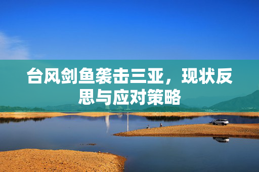 台风剑鱼袭击三亚，现状反思与应对策略