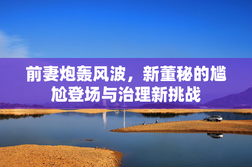 前妻炮轰风波，新董秘的尴尬登场与治理新挑战