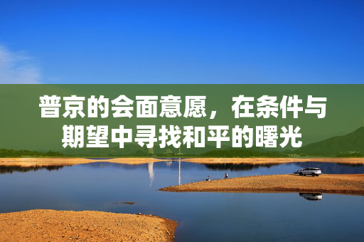 普京的会面意愿，在条件与期望中寻找和平的曙光