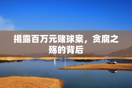揭露百万元赌球案，贪腐之殇的背后