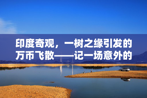 印度奇观，一树之缘引发的万币飞散——记一场意外的财富雨