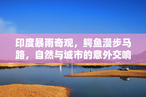 印度暴雨奇观，鳄鱼漫步马路，自然与城市的意外交响曲
