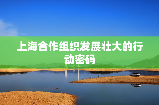 上海合作组织发展壮大的行动密码