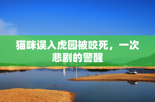 猫咪误入虎园被咬死，一次悲剧的警醒