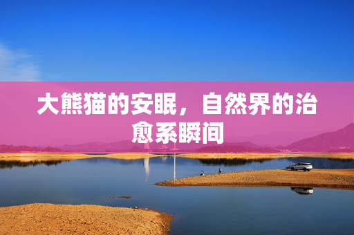 大熊猫的安眠，自然界的治愈系瞬间