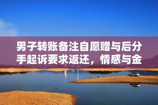 男子转账备注自愿赠与后分手起诉要求返还，情感与金钱的纠葛