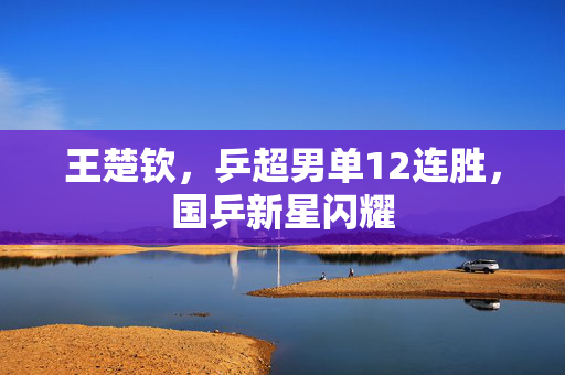 王楚钦，乒超男单12连胜，国乒新星闪耀