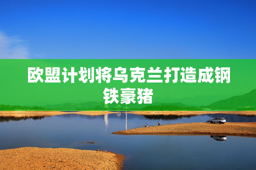 欧盟计划将乌克兰打造成钢铁豪猪