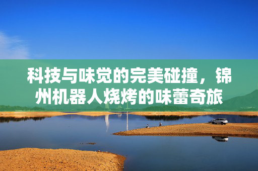科技与味觉的完美碰撞，锦州机器人烧烤的味蕾奇旅