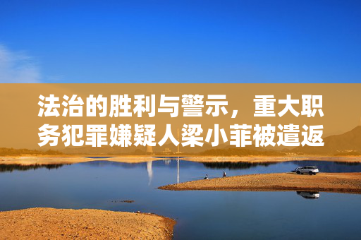 法治的胜利与警示，重大职务犯罪嫌疑人梁小菲被遣返回国