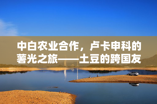 中白农业合作，卢卡申科的薯光之旅——土豆的跨国友谊桥梁
