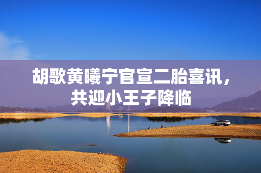 胡歌黄曦宁官宣二胎喜讯，共迎小王子降临