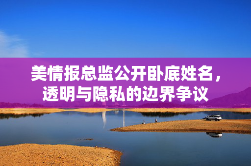 美情报总监公开卧底姓名，透明与隐私的边界争议