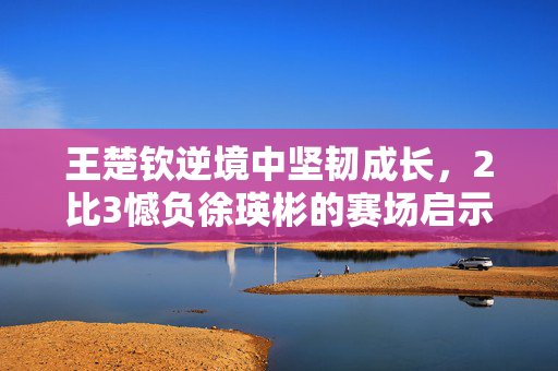 王楚钦逆境中坚韧成长，2比3憾负徐瑛彬的赛场启示