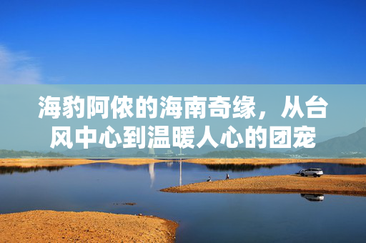 海豹阿侬的海南奇缘，从台风中心到温暖人心的团宠