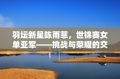 羽坛新星陈雨菲，世锦赛女单亚军——挑战与荣耀的交响曲
