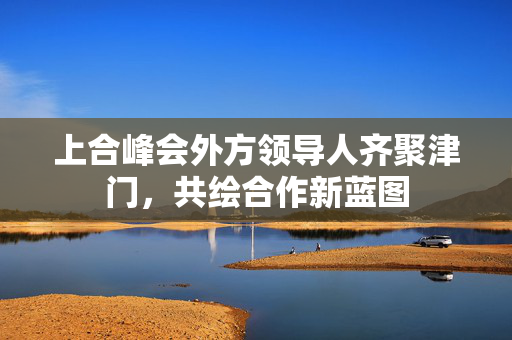 上合峰会外方领导人齐聚津门，共绘合作新蓝图