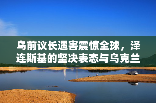 乌前议长遇害震惊全球，泽连斯基的坚决表态与乌克兰政治局势的深度剖析