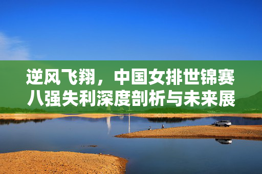 逆风飞翔，中国女排世锦赛八强失利深度剖析与未来展望