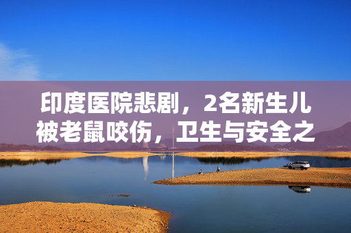 印度医院悲剧，2名新生儿被老鼠咬伤，卫生与安全之殇