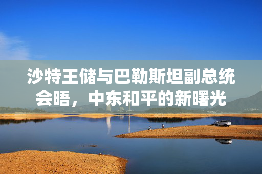 沙特王储与巴勒斯坦副总统会晤，中东和平的新曙光