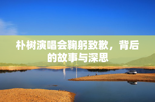 朴树演唱会鞠躬致歉，背后的故事与深思