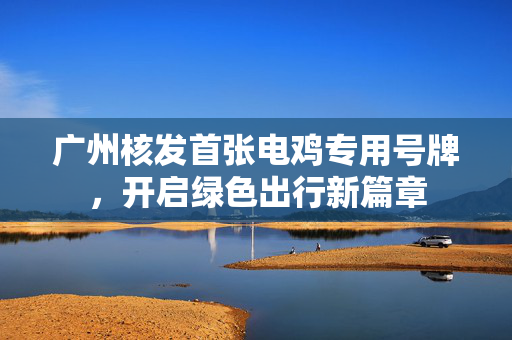 广州核发首张电鸡专用号牌，开启绿色出行新篇章