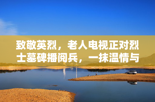 致敬英烈，老人电视正对烈士墓碑播阅兵，一抹温情与敬意的交融