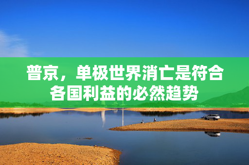 普京，单极世界消亡是符合各国利益的必然趋势