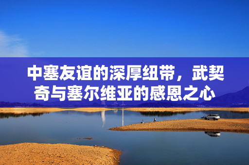 中塞友谊的深厚纽带，武契奇与塞尔维亚的感恩之心