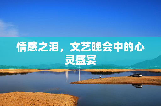 情感之泪，文艺晚会中的心灵盛宴