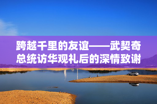 跨越千里的友谊——武契奇总统访华观礼后的深情致谢