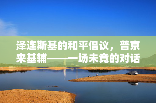 泽连斯基的和平倡议，普京来基辅——一场未竟的对话