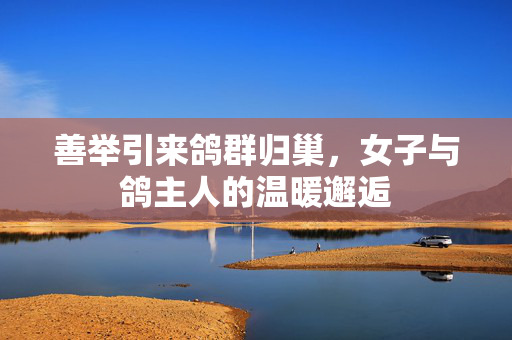 善举引来鸽群归巢，女子与鸽主人的温暖邂逅
