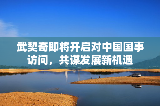 武契奇即将开启对中国国事访问，共谋发展新机遇
