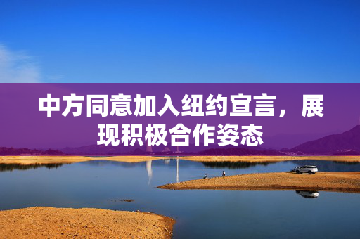 中方同意加入纽约宣言，展现积极合作姿态