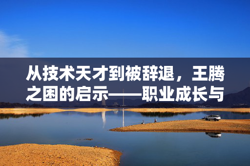 从技术天才到被辞退，王腾之困的启示——职业成长与个人价值的深度剖析