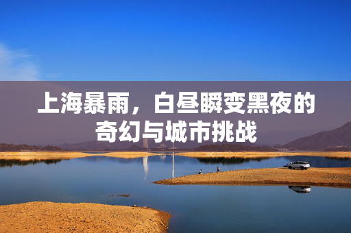 上海暴雨，白昼瞬变黑夜的奇幻与城市挑战