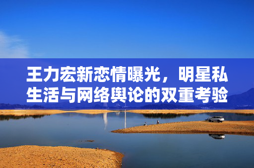 王力宏新恋情曝光，明星私生活与网络舆论的双重考验