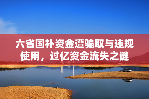 六省国补资金遭骗取与违规使用，过亿资金流失之谜