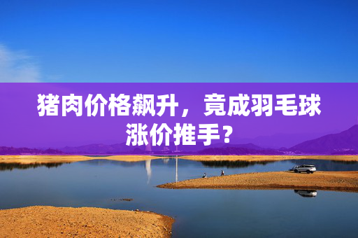 猪肉价格飙升，竟成羽毛球涨价推手？