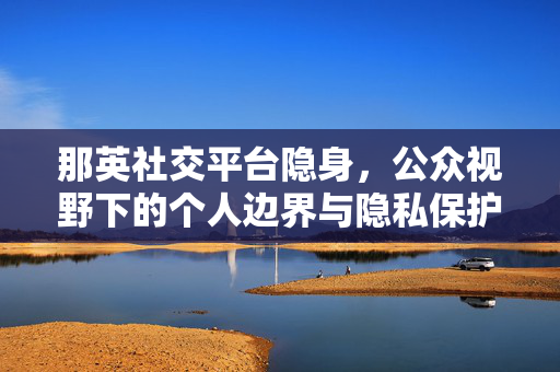 那英社交平台隐身，公众视野下的个人边界与隐私保护