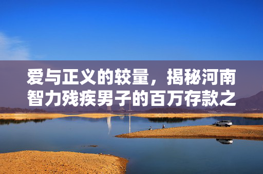 爱与正义的较量，揭秘河南智力残疾男子的百万存款之谜