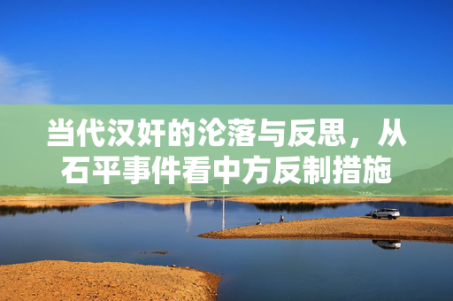 当代汉奸的沦落与反思，从石平事件看中方反制措施
