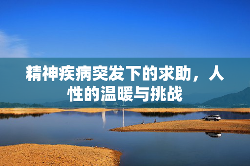 精神疾病突发下的求助，人性的温暖与挑战