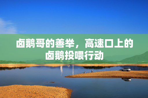 卤鹅哥的善举，高速口上的卤鹅投喂行动