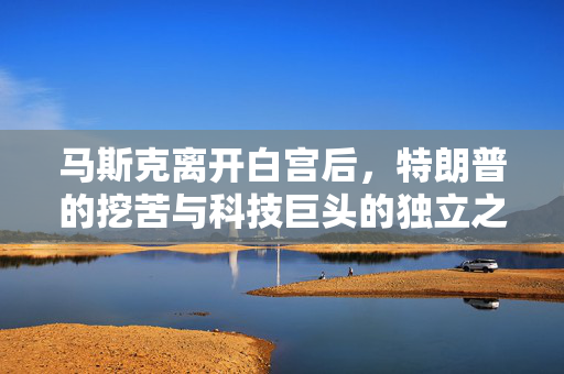 马斯克离开白宫后，特朗普的挖苦与科技巨头的独立之路
