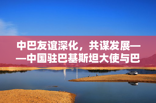 中巴友谊深化，共谋发展——中国驻巴基斯坦大使与巴总理会面纪实